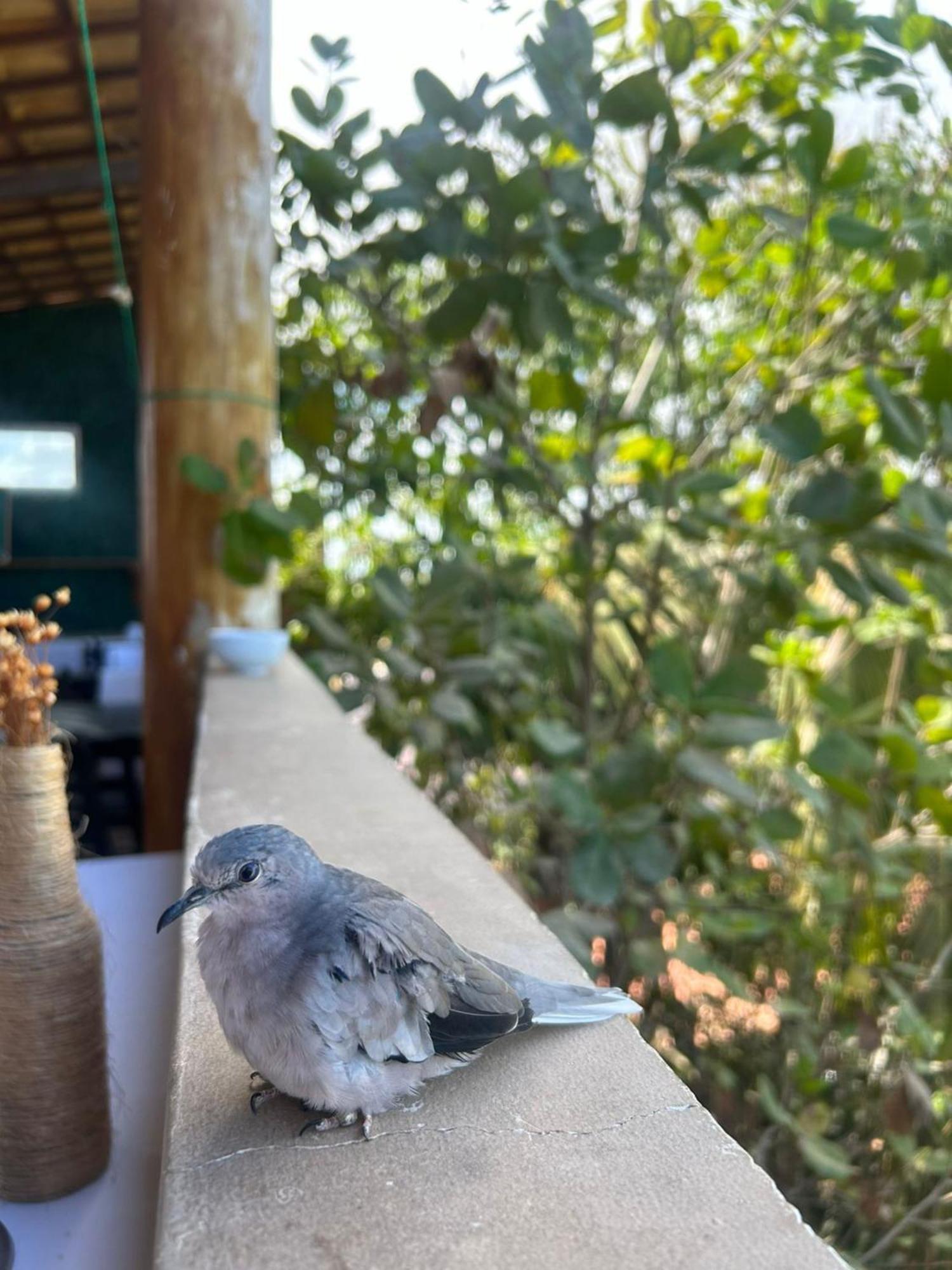 Uru Pousada Jijoca de Jericoacoara Exterior foto